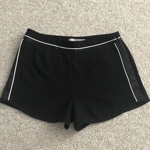 Tuxedo Shorts